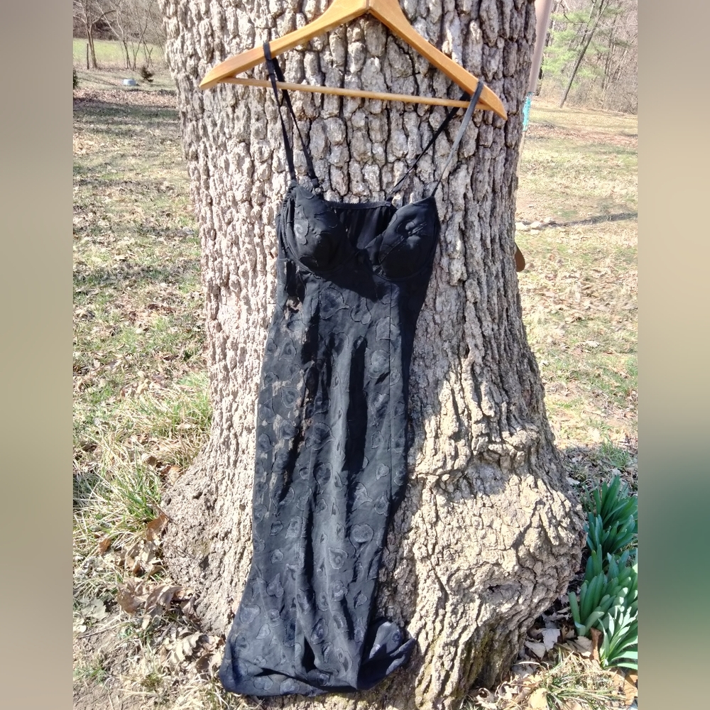 ⬇️Price Drop!⬇️ Victoria's Secret Sheer Applique Gown in size S - Picture 1 of 4